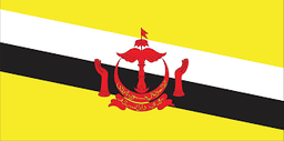 Brunei Darussalam flag