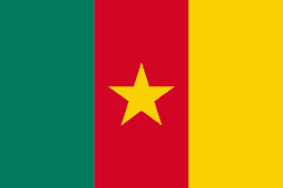 Camerún flag