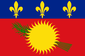 Guadalupe flag