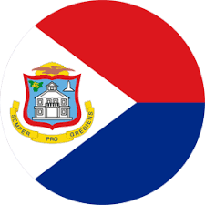 San Martín flag