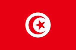 Túnez flag