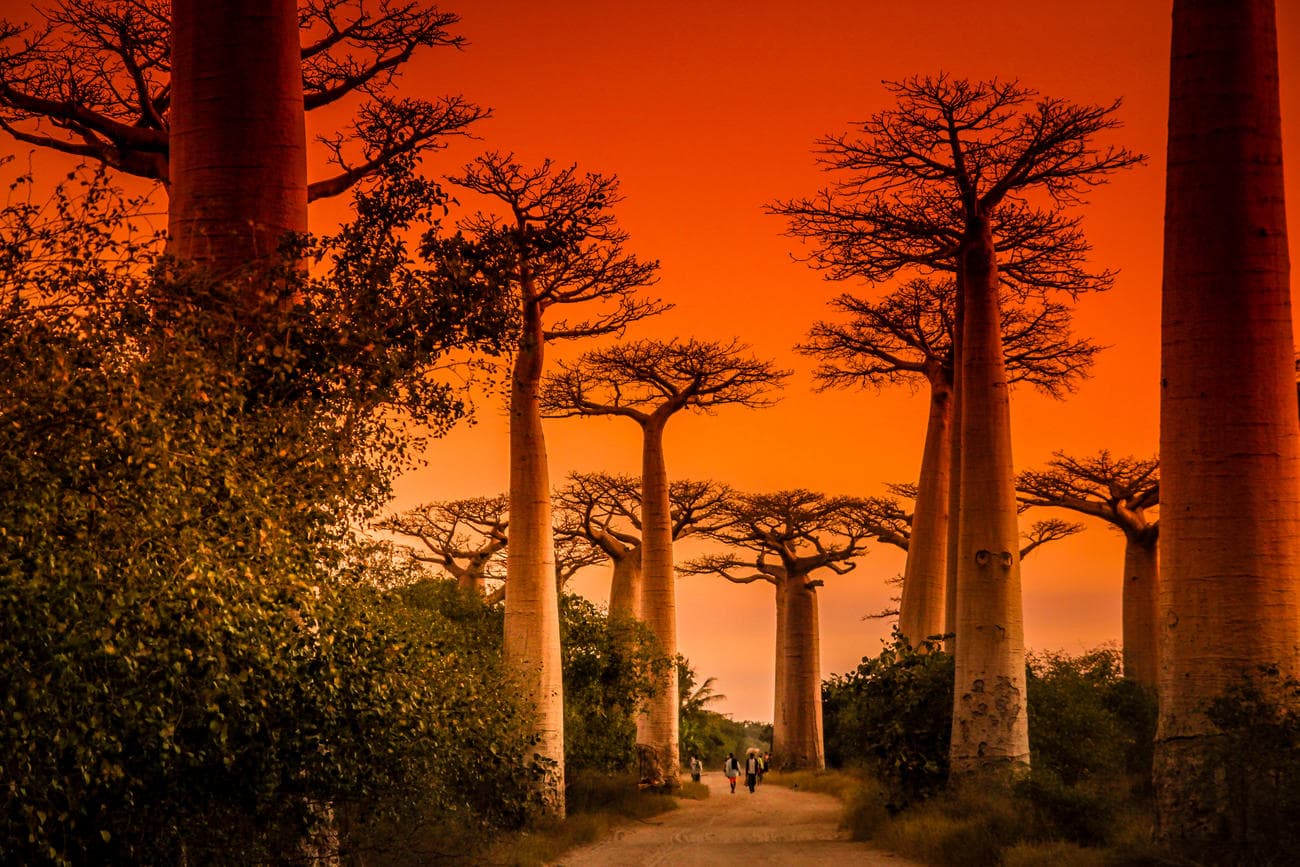 Foto de viaje de Madagascar