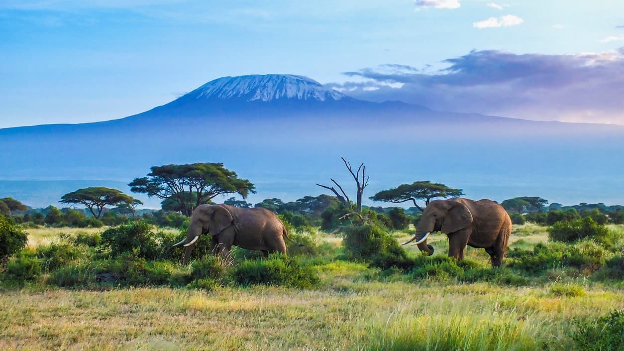 Foto de viaje de Tanzania