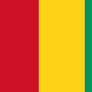 guinea flag