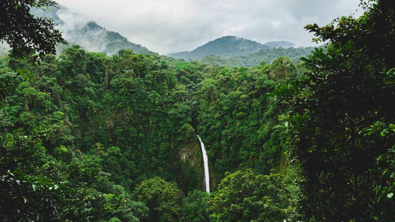 Datos curiosos de Costa Rica que seguro que no conocías