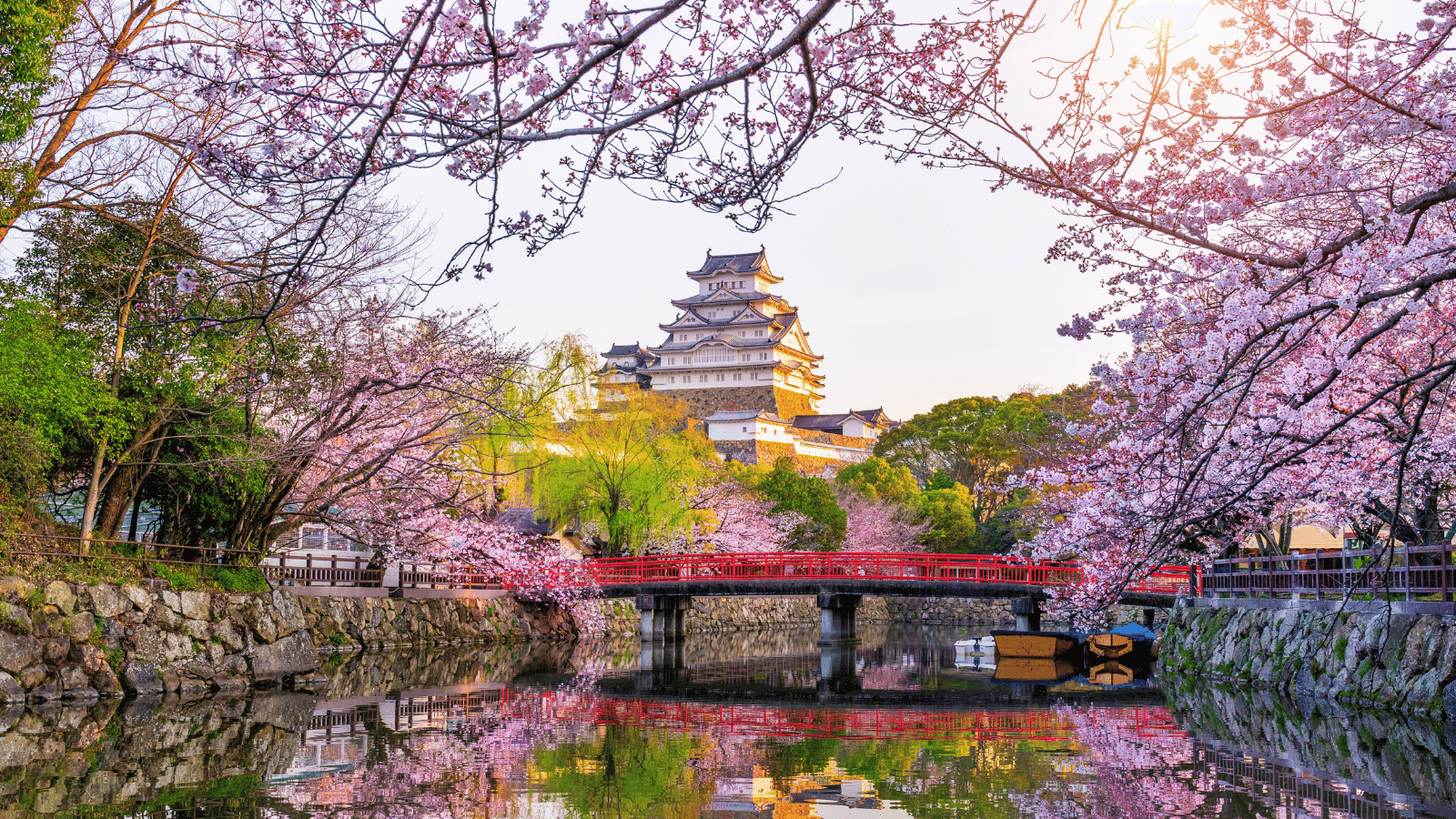 Diez datos asombrosos sobre Japón que te sorprenderán