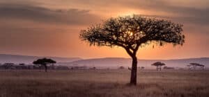 Foto del destino: África
