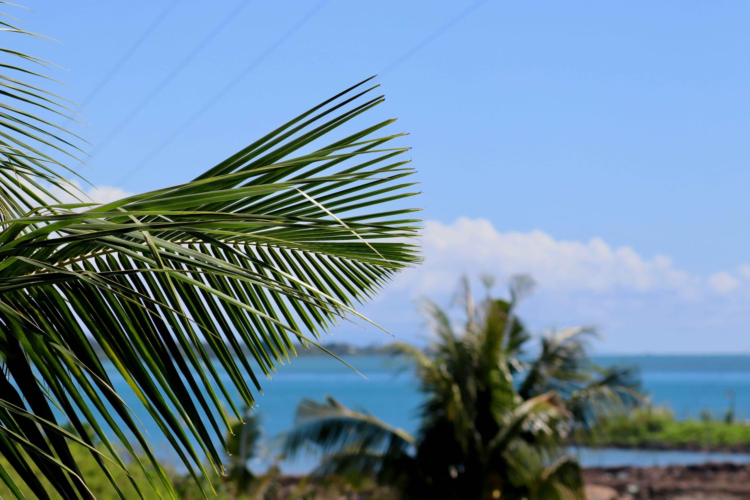 Foto de viaje de Samoa Occidental