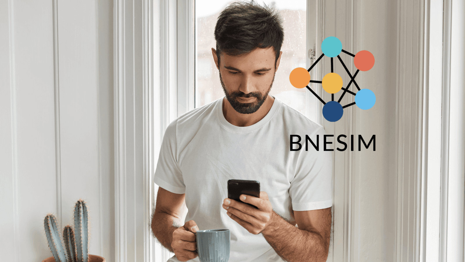 Bnesim Reseña: precios, cobertura y características