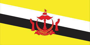 Brunei Darussalam flag