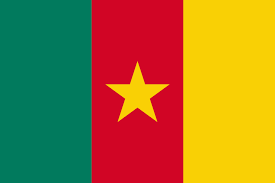 Camerún flag