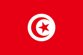 Túnez flag